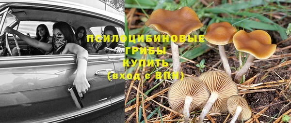 соль ск Беломорск