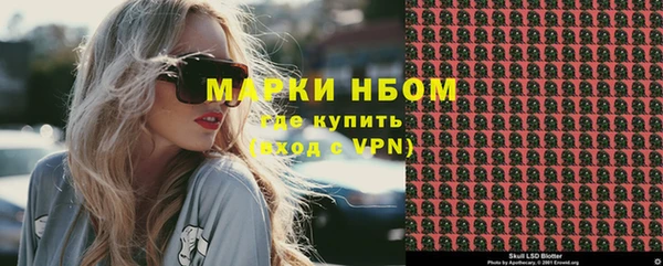шишки Богородск