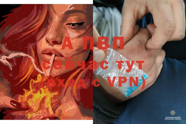 амф Белокуриха