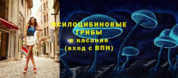 дурь Богданович