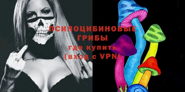 стаф Белоозёрский